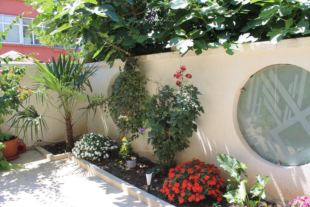 Stela Guest House تساريفو المظهر الخارجي الصورة