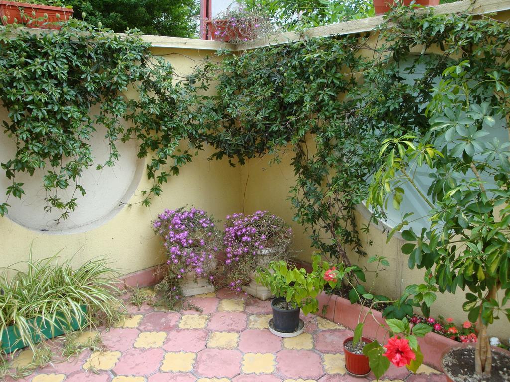 Stela Guest House تساريفو الغرفة الصورة